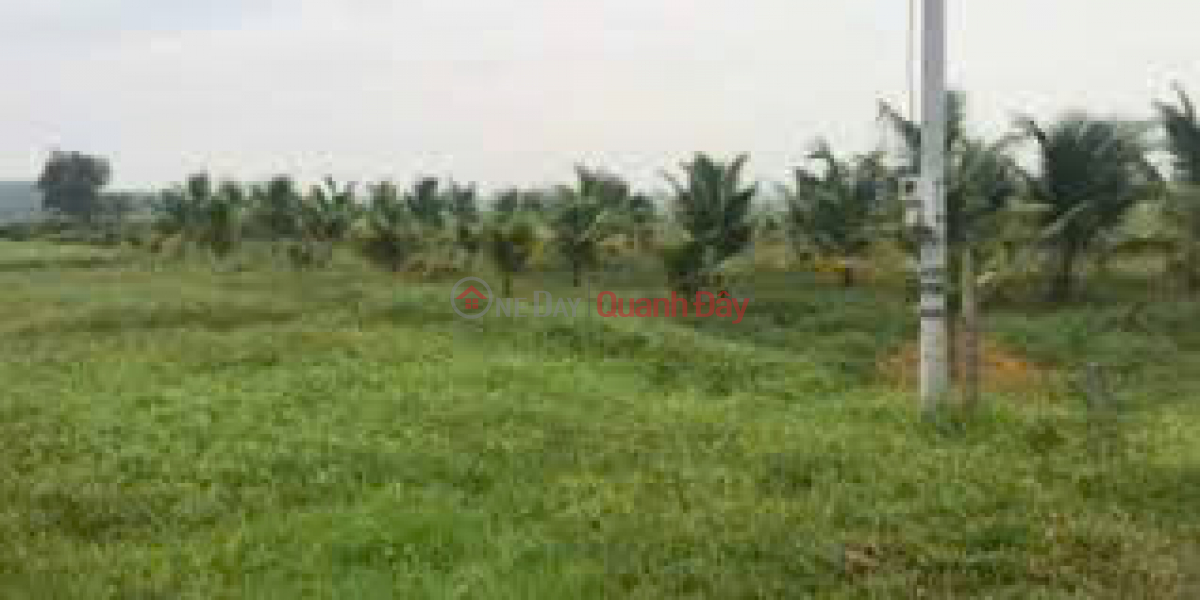 Property Search Vietnam | OneDay | , Sales Listings, Agricultural land for sale, frontage on extended road 20, Lac Tanh town, Tanh Linh district, Binh Thuan province.