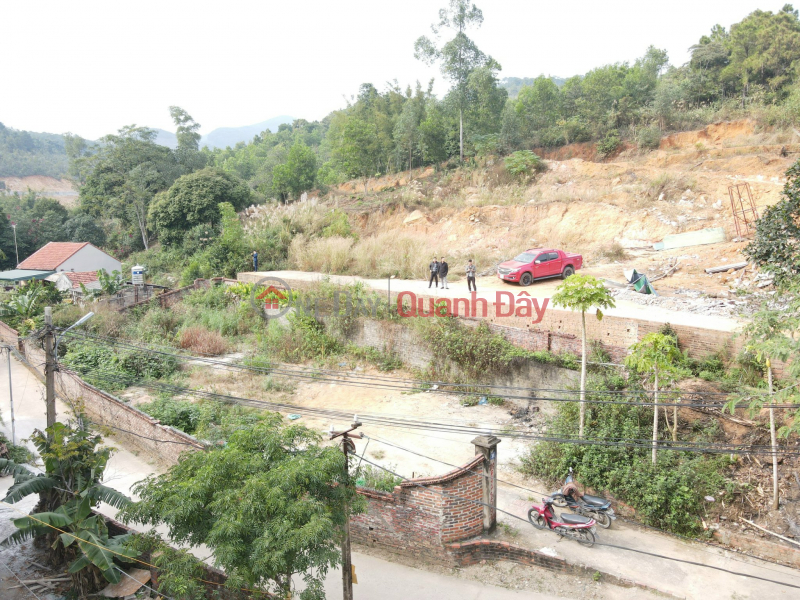 Land for sale in Viet Hung area, Ha Long - Car Street - Price only 600 million VND Sales Listings