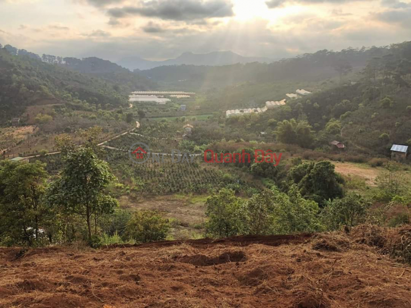 Property Search Vietnam | OneDay | Residential, Sales Listings, NEED MONEY FOR OWNER TO SELL PIECE OF LAND Beautiful Location In Xuan Son, Da Lat City