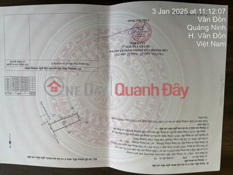 Cheap Van Don land to anticipate Van Don Economic Zone planning. Price is only over 15 million\/1m2, cheapest in the area. _0