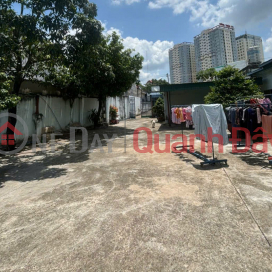 Giảm 2.5tỷ! Đất SHR HXT né 979m2, Nở hậu – Đặng Đức Thuật TP.Biên Hoà SS Giảm 2.5tỷ! Đất SHR HXT né 979m2, Nở hậu – Đặng Đức Thuật TP.Biên Hoà SS _0