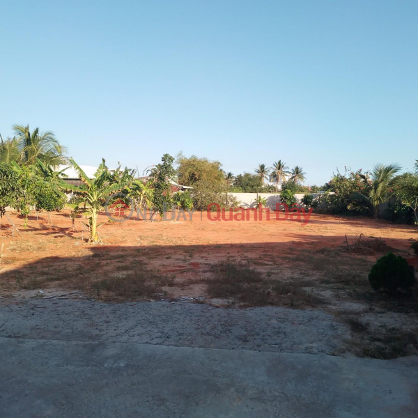 ₫ 13 Billion Beautiful Land - Good Price Need to Sell Land Quickly in Xuan An Ward, Phan Thiet City, Binh Thuan
