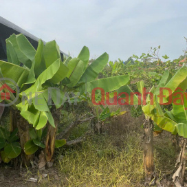 OWNER Needs to Quickly Sell Residential Land in Hau Nghia Town, Duc Hoa, Long An _0