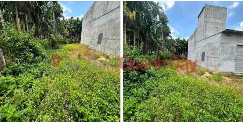 HOT HOT – OWNER NEEDS TO SELL RESIDENTIAL LAND ON NGO SY LIEN STREET, VO XU TOWN, DUC LINH CITY, BINH THUAN PROVINCE. _0