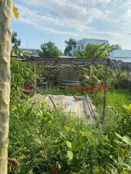 ₫ 250 Million, PRIME LAND FOR OWNER - GOOD PRICE - Need to Sell Land Lot in Ward 5 - Soc Trang City QUICKLY