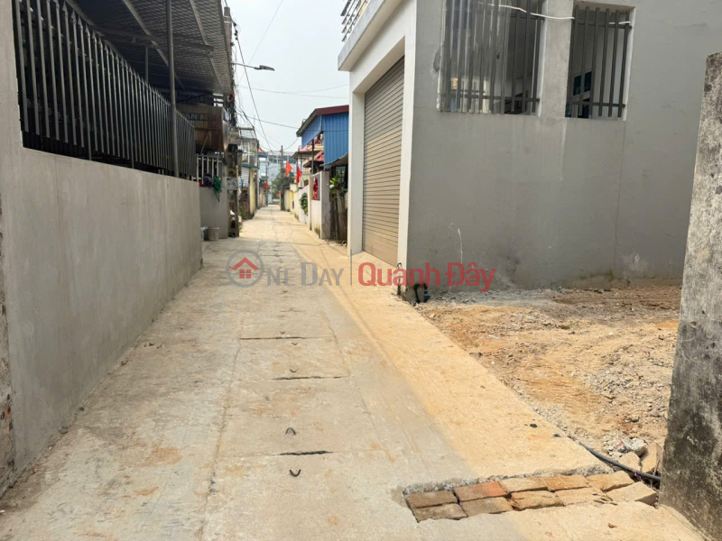 Property Search Vietnam | OneDay | Residential, Sales Listings | Land for sale in Group 3, Quang Minh, 50m2, 4m frontage, near industrial park, perfect amenities.