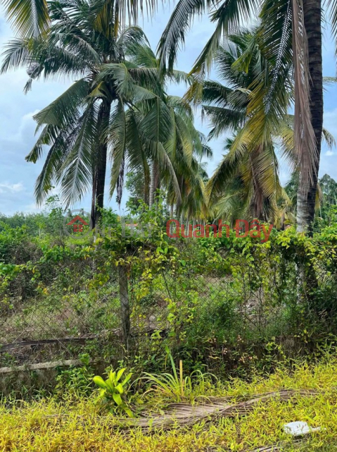 Owner selling land in Gia Loc, Tay Ninh. 10m wide, 95m long, accessible by car. Price: 1.2 billion VND (negotiable). _0