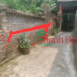 Selling 40m2 of land in Mai Lam Dong Anh - Right near Dong Tru bridge _0