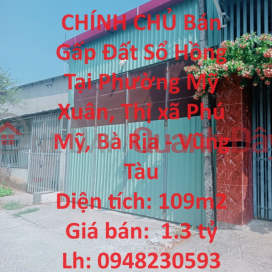 OWNER Urgently Sells Land With Red Book In My Xuan Ward, Phu My Town, Ba Ria - Vung Tau _0