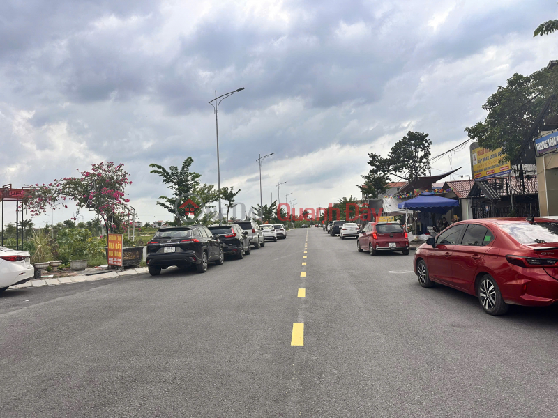 Property Search Vietnam | OneDay | Residential, Sales Listings | Auctioned land Trieu Viet Vuong Khoai Chau Hung Yen