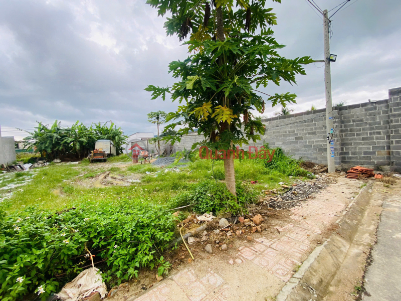 Selling 162m2 of land with two street frontages in Phu Thinh, Phu Hoi, Duc Trong, Lam Dong. Price: 1.68 billion VND., Vietnam Sales | đ 1.68 Billion