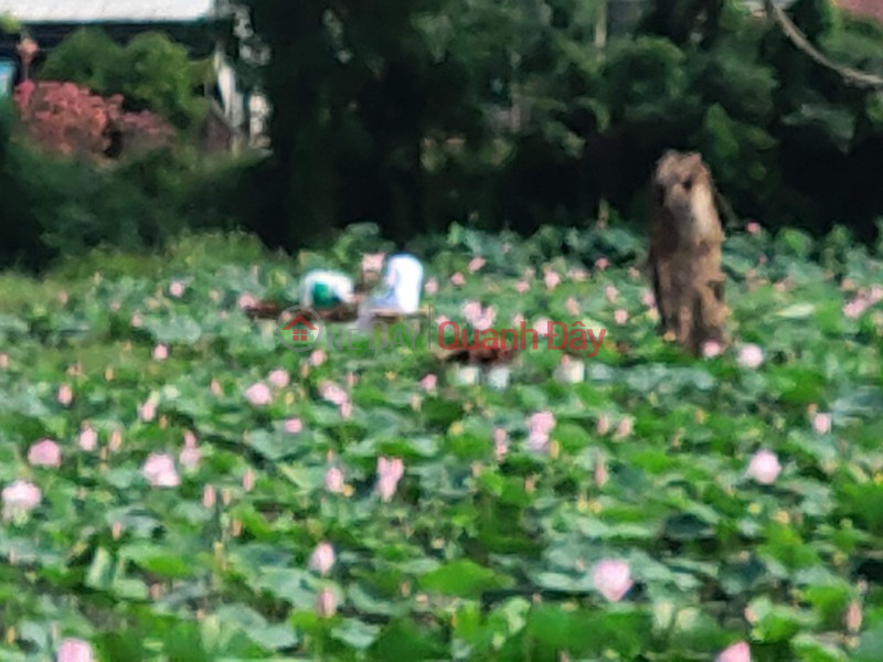 , Làm ơn chọn | Nhà ở Niêm yết bán | đ 930 triệu