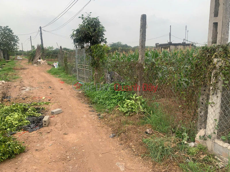 đ 1 Billion OWNER Sells Land Every Year - GOOD PRICE - In Tan Tien Commune, Van Giang District, Hung Yen