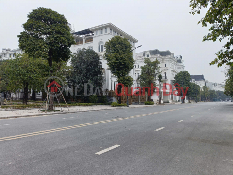 Cực Hiếm, Biệt thự Louis City 205m2- 5T có hầm, vị trí đẹp, giá 56.5 tỷ _0