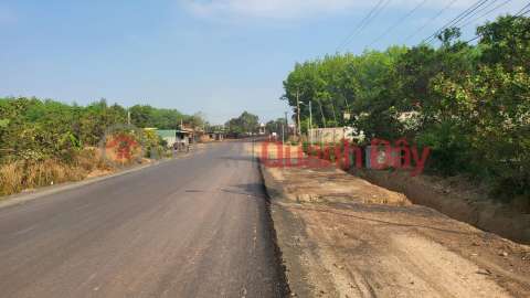 OWNER Needs to Urgently Sell Land Lot on Thanh Nien Street, Price is Softer than Bank Valuation _0
