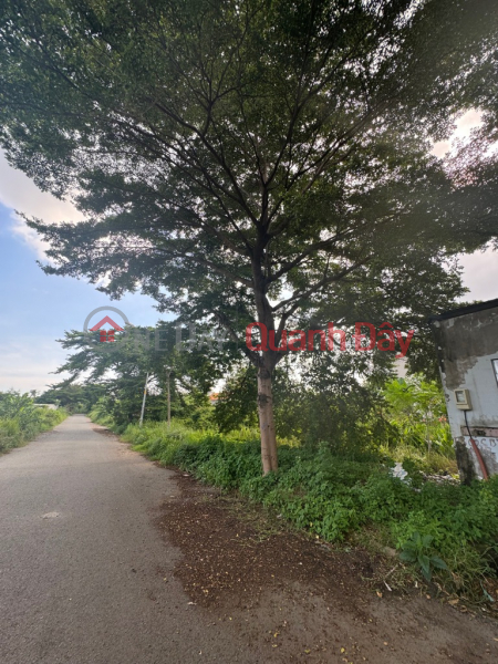 Property Search Vietnam | OneDay | Residential, Sales Listings Super Rare Land for Sale in District 9! Villa land at extremely cheap price right in Lien Phuong, 450m2, price only 17.5 billion negotiable