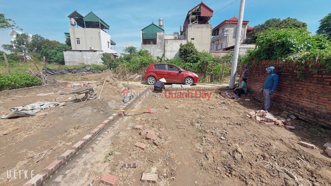 Property Search Vietnam | OneDay | Residential | Sales Listings, LAND EXPLOSION IN DONG XUAN THUONG VILLAGE, DONG XUAN, SOC SON, AREA 96 M FUN TC