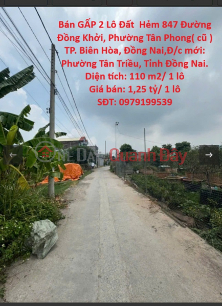Owner Needs to Sell URGENTLY 2 Lots of Land in Alley 847 Dong Khoi Street, Tan Phong Ward (old) Bien Hoa City, Dong Nai Sales Listings