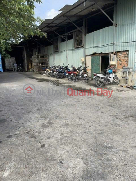 Property Search Vietnam | OneDay | Residential, Sales Listings, Land and factory for sale on Vo Van Bich street frontage, Binh My commune, Cu Chi district, Ho Chi Minh city