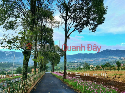 BEAUTIFUL LAND - GOOD PRICE - Owner Needs To Sell Land Lot Next To Da Lat In Dong Thanh Commune, Lam Ha _0
