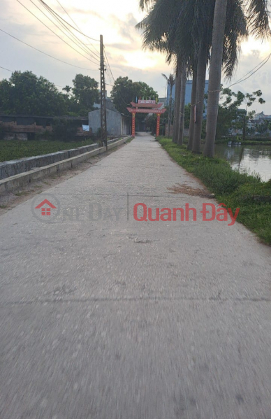 Property Search Vietnam | OneDay | Residential Sales Listings | Consignment for sale 168m2, 1x million\\/m2, front yard 11.98m, rear hatch 13.38m, in Quang Be, Chuong My, Hanoi, car, border TL 419