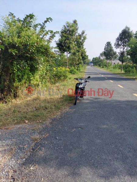 BEAUTIFUL LAND - GOOD PRICE - OWNER needs to sell a plot of land in a beautiful location in Chau Thanh District, Long An | Vietnam, Sales | đ 7.5 Billion