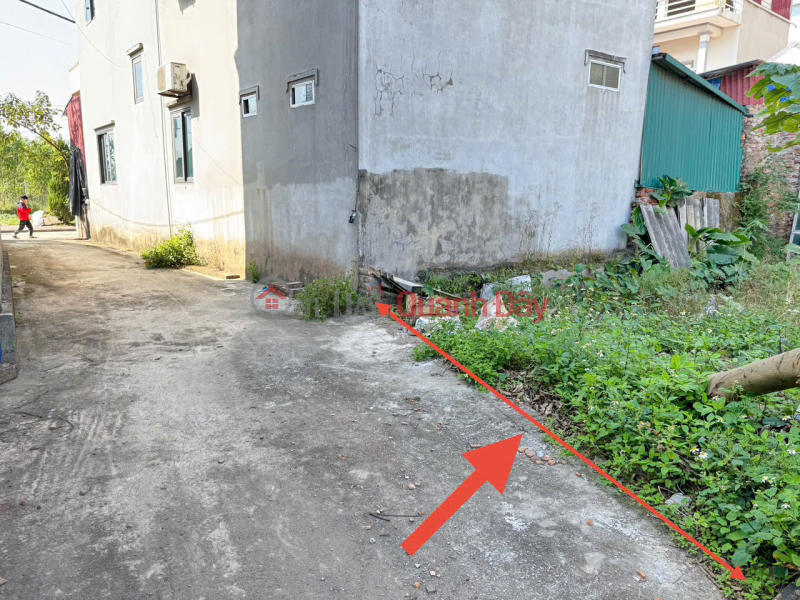 Hàng hiếm, 45m đất Bạch Đa, Kim Hoa, Mê Linh. Đường rộng, oto đỗ, sát đường bìa làng Việt Nam, Bán, đ 1,96 tỷ