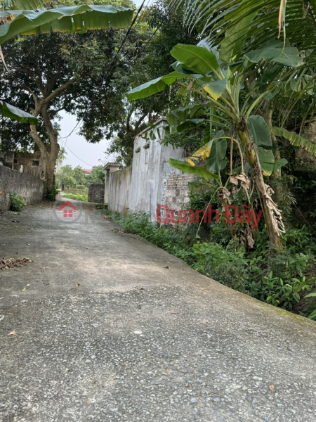 đ 2.88 Billion | URGENT! OWNER Needs to Sell Full Residential Land, Beautiful Location in Tan Thanh Commune, Vu Ban District, Nam Dinh
