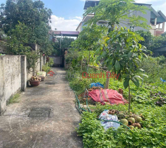 CẦN BÁN 41,2 M2 ĐẤT DƯƠNG XÁ - THUẬN AN, GIÁNH 2.98 TỶ, LH 0985865658 Niêm yết bán