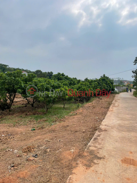 OPPORTUNITY TO OWN LAND IN CHU TOWN - BAC GIANG FROM ONLY 400-660 MILLION! Buy Now _0