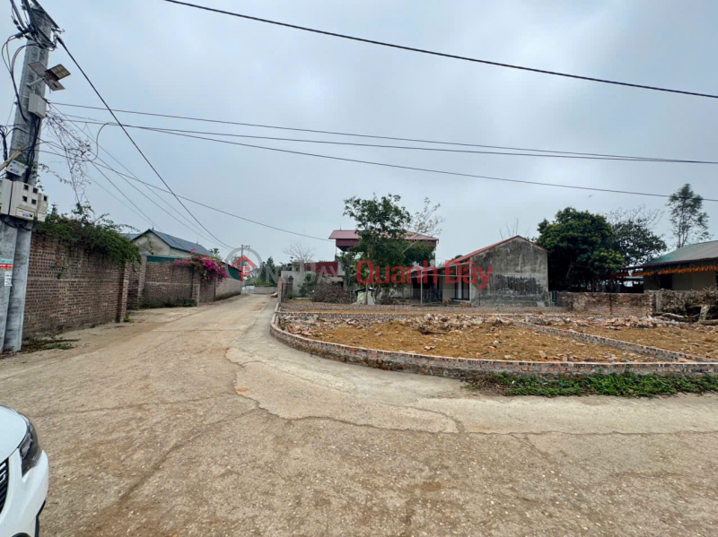 Bán 100m đất thôn Thái Lai, Minh Trí, Sóc Sơn. Full thổ cư, ô tô đỗ, Việt Nam, Bán, đ 1,9 tỷ