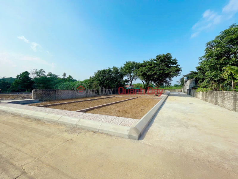 10 PLOTS FOR SALE - TUNG THIEN WARD - A RARE OPPORTUNITY FOR INVESTORS | Vietnam, Sales, đ 1.8 Billion