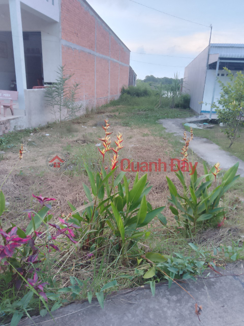 The Owner Needs to Sell Quickly Beautiful Land Lot In Tran Van Thoi - Ca Mau _0