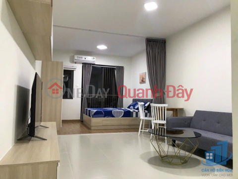 The most luxurious apartment for rent in Bien Hoa Topaz Twins is only 8 million\/month _0