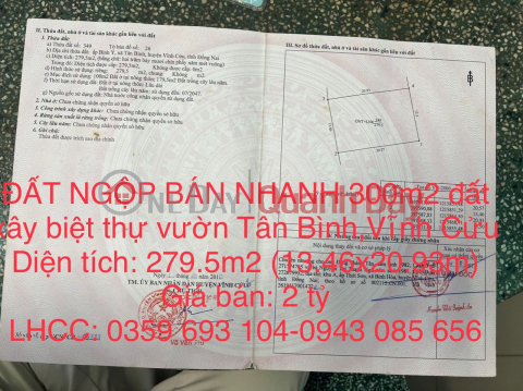 FAST SELLING LAND 300m2 of land to build a garden villa in Tan Binh commune, Vinh Cuu _0