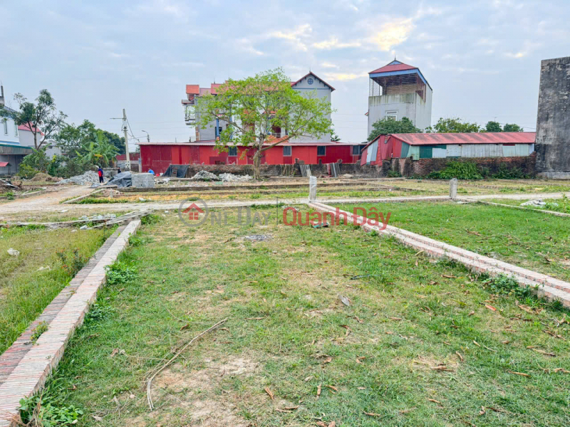 Property Search Vietnam | OneDay | Nhà ở, Niêm yết bán, Bán gấp đất Quang Minh - 69M2 - mặt tiền rộng 5.5M - sổ đỏ chính chủ - giá chỉ 2.2 tỷ