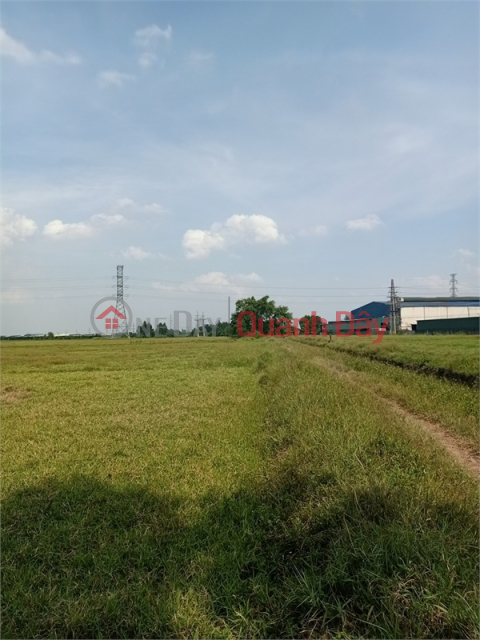 Selling 2.3 hectares of 50-year warehouse land in Tan Hung, Hung Yen City _0