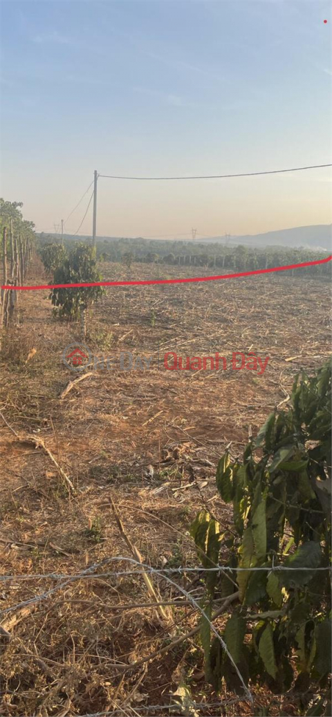Beautiful Land - Good Price - Owner Needs to Sell Land Lot in Nice Location in iaka Chubăh Gia Lai Commune _0