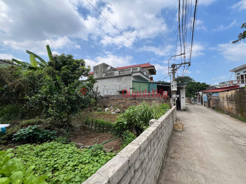  | Làm ơn chọn, Nhà ở, Niêm yết bán, đ 4,8 tỷ