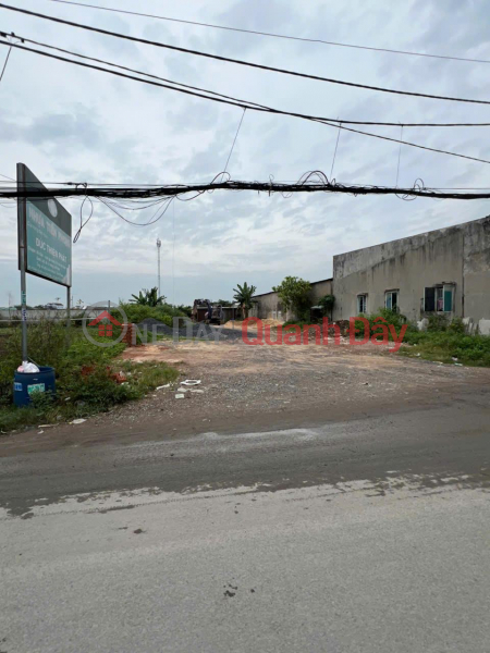 Need to quickly rent a beautiful plot of land in Binh Chanh district, HCMC Vietnam | Rental, đ 8 Million/ month