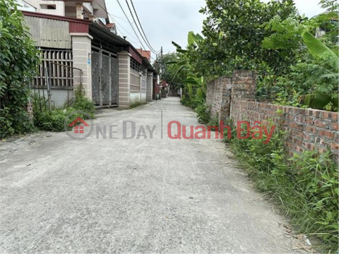 The Owner sends for sale a plot of land 83m2 Mai Dong - Mai Dinh - Soc Son _0