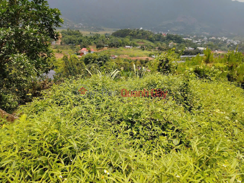 đ 14.5 Billion, CC sells the most beautiful resort land in Tien Xuan: 20,000m² (residential land, agricultural land, production forest land) only 14.5 billion
