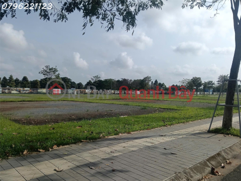 Land for sale in Yen Ngua Hamlet, DT 744, Dinh Thanh, 10 billion VND, area 1800 m2, investment price. _0