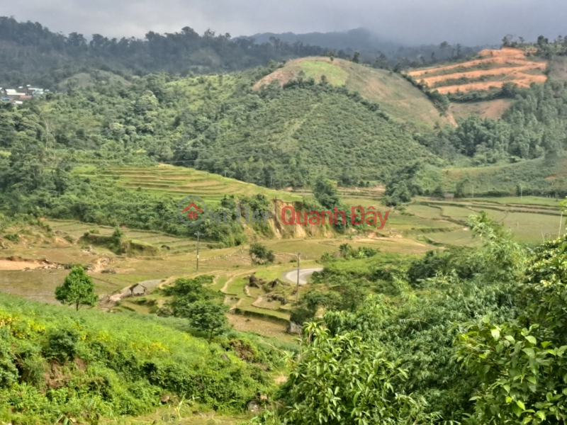 Property Search Vietnam | OneDay | Residential Sales Listings, SUPER CHEAP PRICE LAND LOT FOR SALE IN NATIONAL TOURIST AREA - STANDARD PLANNING