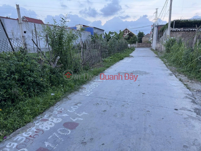 Chính chủ bán lô đất 60m2 tại Hoàng Lâu, Hồng Phong, An Dương, Hải Phòng - Giá 1,66 tỷ Việt Nam Bán đ 1,66 tỷ