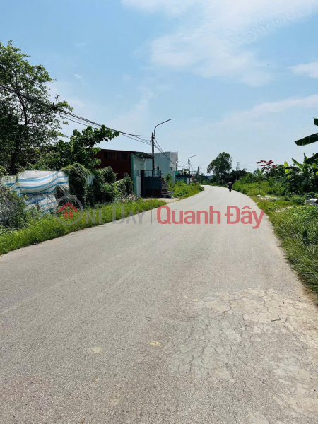 Property Search Vietnam | OneDay | Residential Sales Listings Price 2x million VND\\/m² – Lot of 149.4m² on Minh Duc 403 road, connecting Kien Thuy to Do Son. ZALO 0567 222 555