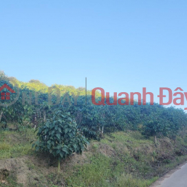 BEAUTIFUL LAND - GOOD PRICE - Fast Selling Land Lot with Good Location in Phi To Commune, Lam Ha District, Lam Dong Province _0