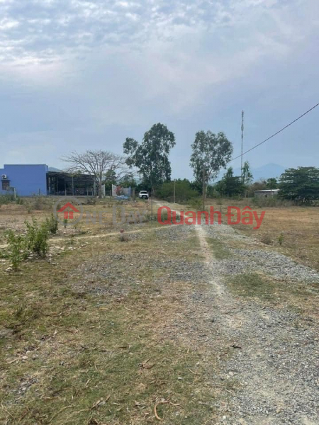 OWNER IS STRUGGLE FOR SELLING CHEAP FULL RESIDENTIAL LAND LOT IN KHANH PHU, KHANH VINH - ONLY 420 MILLION, ONE LOT LEFT, Vietnam | Sales | đ 420 Million