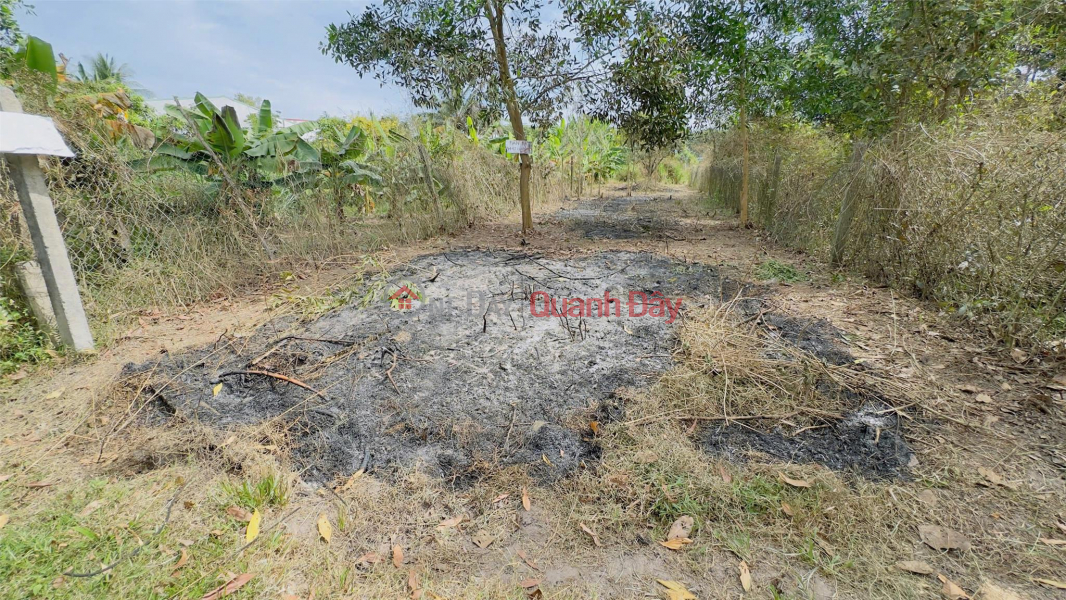 OWNER'S LAND - STREET FRONTAGE - Ninh Thanh Hamlet, Ninh Son Ward, Tay Ninh City, Tay Ninh Sales Listings