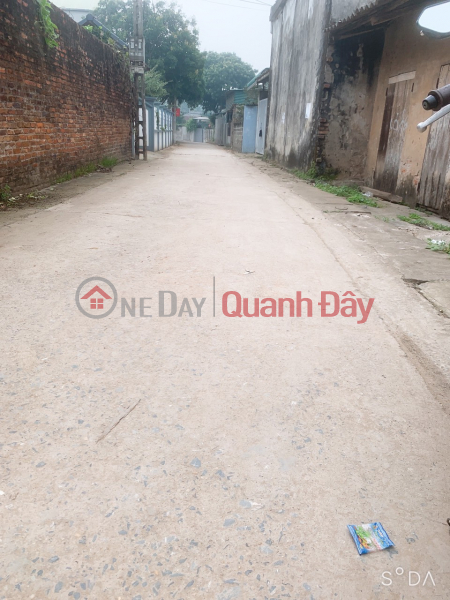 Property Search Vietnam | OneDay | Residential | Sales Listings | GOODS FULL RESIDENTIAL LOT The owner is selling 218m of Cho Got Street - Quyet Ha - Chuong My.